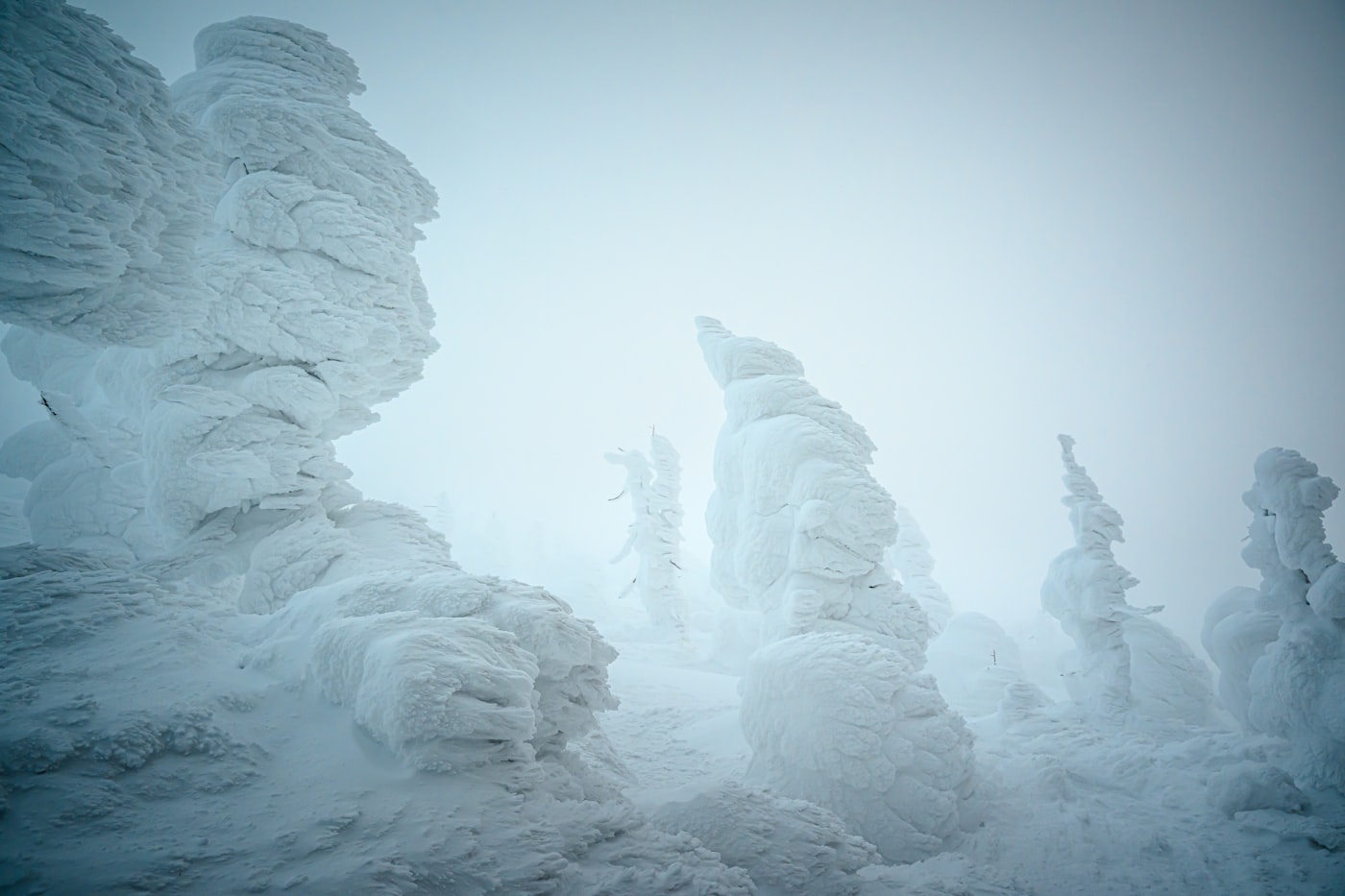 Juhyo snow monsters at Zao