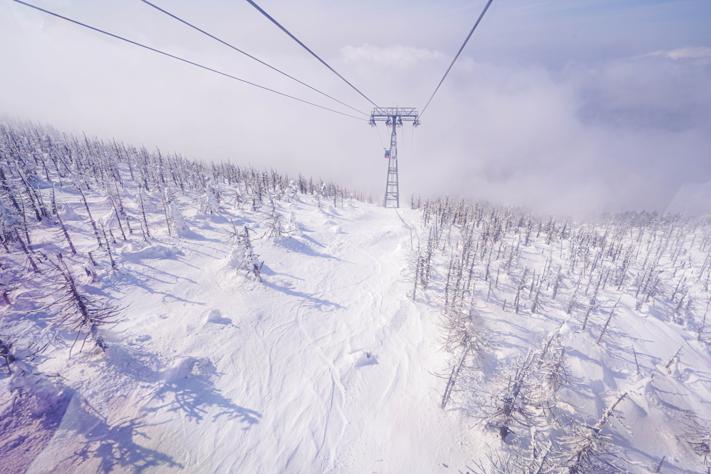 A gondola cable line stretching over frost-covered juhyo snow monsters at Zao