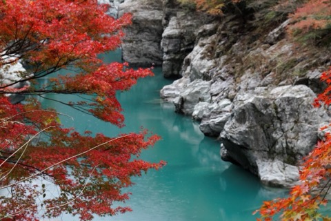 The Iya vine bridge