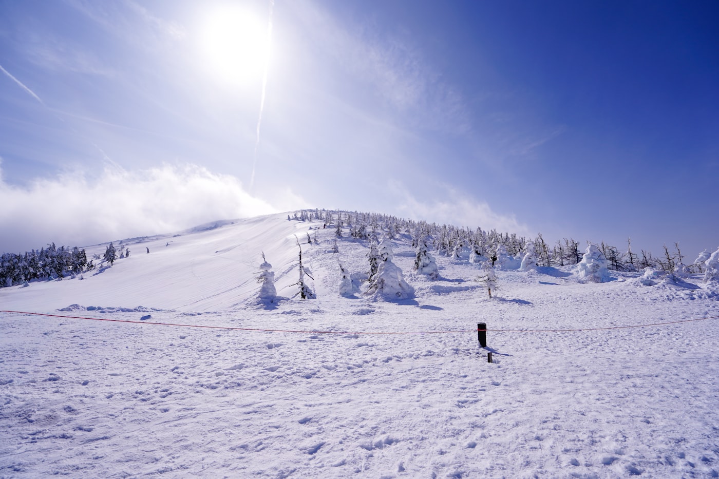 Sunlit ridge of juhyo snow monsters under a blue sky near the summit of Mount Zao